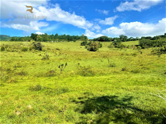 Imagem Chácara à Venda, 140.000 m² em Morungava - Gravataí Imagem Chácara à Venda, 140.000 m² em Morungava - Gravataí