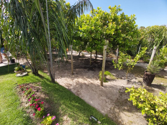 Imagem Casa com 5 Quartos à Venda, 320 m² em Praia Do Forte - Mata De Sao Joao Imagem Casa com 5 Quartos à Venda, 320 m² em Praia Do Forte - Mata De Sao Joao
