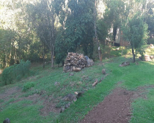 Imagem Imóvel com 3 Quartos à Venda,  em Linha Brasil - Nova Petrópolis