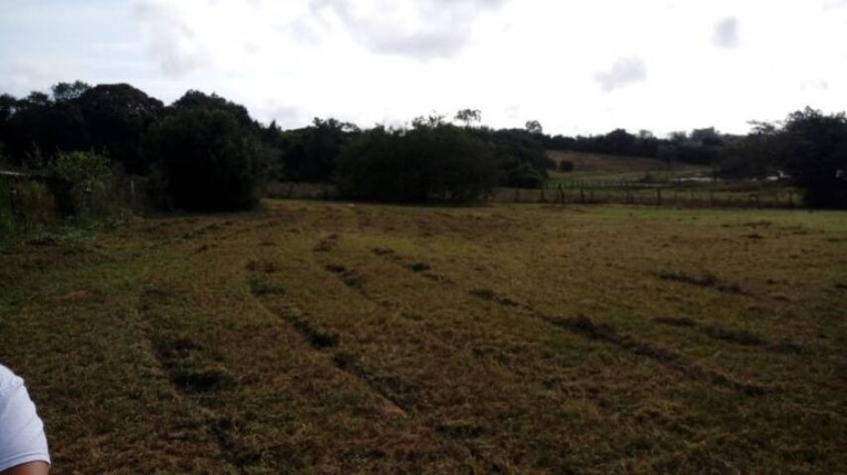 Imagem Chácara à Venda, 5.536 m² em águas Claras - Viamão Imagem Chácara à Venda, 5.536 m² em águas Claras - Viamão