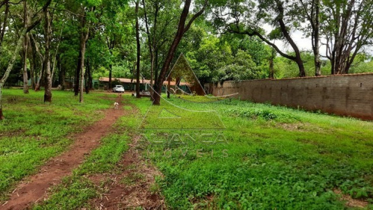 Imagem Imóvel com 1 Quarto à Venda, 5.000 m² em Itanhangá  - Ribeirão Preto