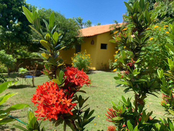 Imagem Casa com 4 Quartos à Venda, 200 m² em Centro - Vila Flor Imagem Casa com 4 Quartos à Venda, 200 m² em Centro - Vila Flor