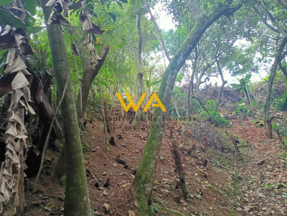 Imagem Imóvel à Venda, 1.045 m² em Chácaras Ceres - Suzano Imagem Imóvel à Venda, 1.045 m² em Chácaras Ceres - Suzano