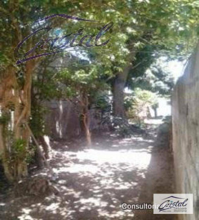 Imagem Terreno à Venda, 500 m² em Butantã - São Paulo Imagem Terreno à Venda, 500 m² em Butantã - São Paulo