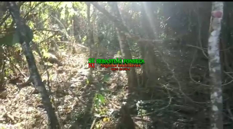 Imagem Chácara à Venda, 30 m² em Souza - Monteiro Lobato Imagem Chácara à Venda, 30 m² em Souza - Monteiro Lobato