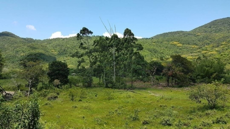 Imagem Fazenda à Venda, 80 m² em São João Do Rio Vermelho - Florianópolis Imagem Fazenda à Venda, 80 m² em São João Do Rio Vermelho - Florianópolis