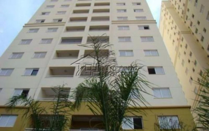Apartamento com 3 Quartos para Alugar, 78 m² em Jardim Apollo - São José Dos Campos