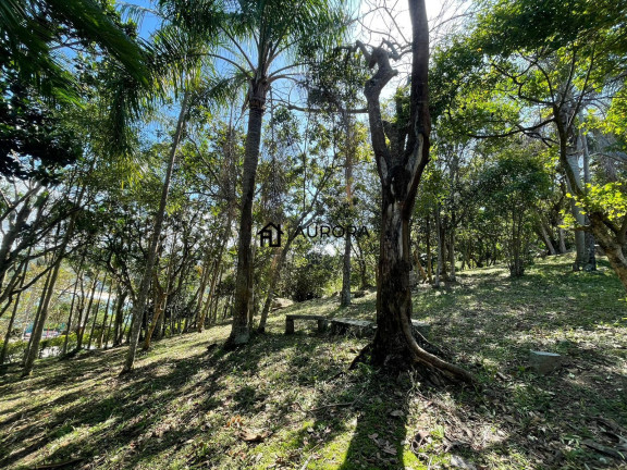 Imagem Terreno à Venda, 199 m² em Estaleirinho - Balneário Camboriú Imagem Terreno à Venda, 199 m² em Estaleirinho - Balneário Camboriú