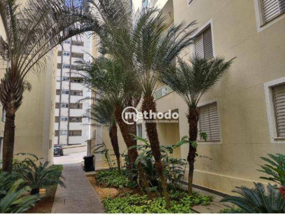 Imagem Apartamento com 2 Quartos para Alugar, 55 m² em Mansões Santo Antônio - Campinas Imagem Apartamento com 2 Quartos para Alugar, 55 m² em Mansões Santo Antônio - Campinas