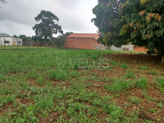 Imagem Imóvel com 1 Quarto à Venda, 2.970 m² em Vila Apolo - Itapetininga Imagem Imóvel com 1 Quarto à Venda, 2.970 m² em Vila Apolo - Itapetininga