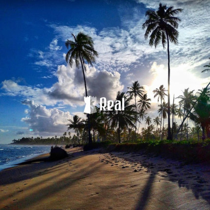 Imagem Terreno à Venda, 540 m² em Praia Do Forte - Mata De São João Imagem Terreno à Venda, 540 m² em Praia Do Forte - Mata De São João