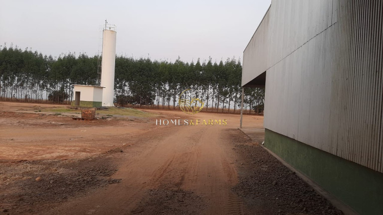 Imagem Imóvel com 3 Quartos à Venda, 49.937 m² em Nova Ubiratã - Nova Ubiratã