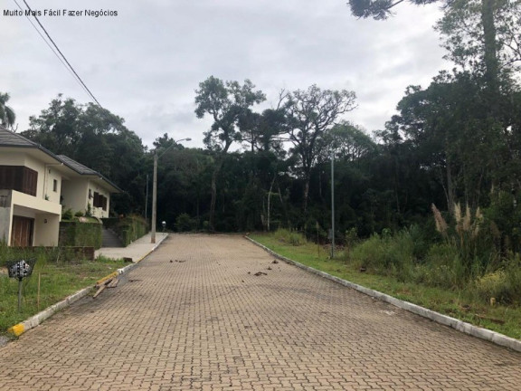 Imagem Terreno à Venda, 384 m² em Germânia - Nova Petrópolis Imagem Terreno à Venda, 384 m² em Germânia - Nova Petrópolis
