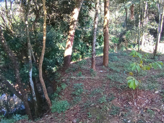 Imagem Chácara com 2 Quartos à Venda, 230 m² em Marques - Brumadinho
