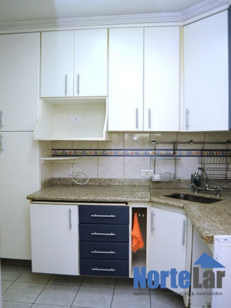 Imagem Apartamento com 3 Quartos à Venda, 75 m² em Vila Amélia - São Paulo