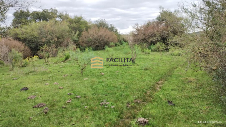 Imagem Imóvel à Venda, 450.000 m² em 5 Distrito - Piratini