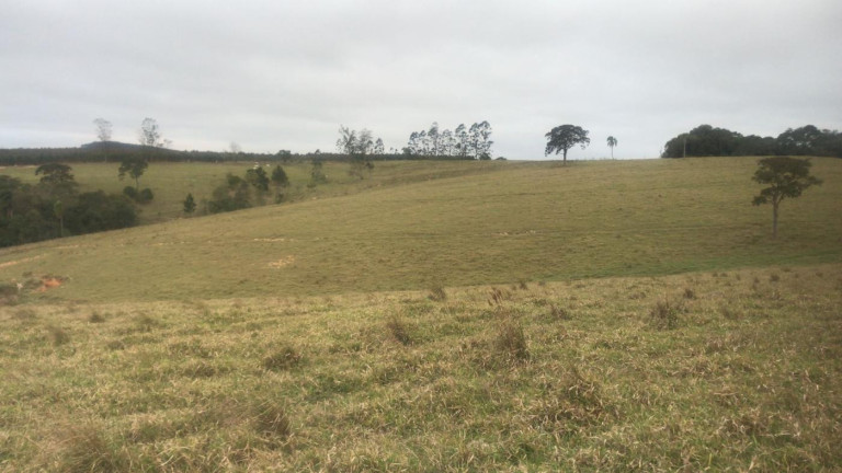 Imagem Fazenda à Venda, 59 m² em Rural - São Miguel Arcanjo Imagem Fazenda à Venda, 59 m² em Rural - São Miguel Arcanjo