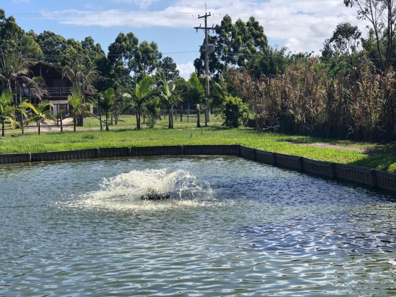 Imagem Imóvel com 1 Quarto à Venda, 5.625 m² em Arroio Teixeira - Capao Da Canoa