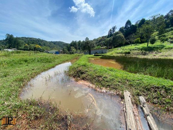 Imagem Imóvel com 2 Quartos à Venda, 7.000 m² em Girassol - São Lourenço Da Serra Imagem Imóvel com 2 Quartos à Venda, 7.000 m² em Girassol - São Lourenço Da Serra