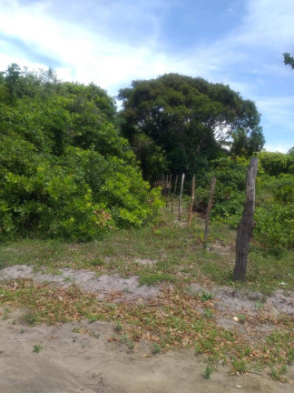 Terreno à Venda, 3.020 m² em Tibau Do Sul