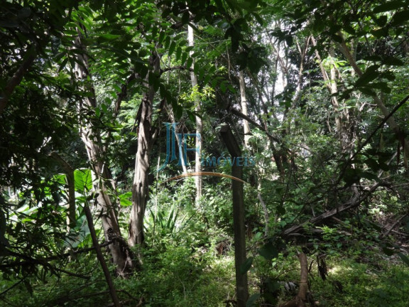 Imagem Imóvel com 3 Quartos à Venda, 5.576 m² em Parque São Sebastião - Ribeirão Preto