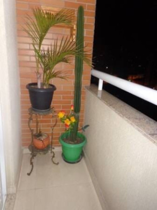 Imagem Apartamento com 3 Quartos à Venda, 100 m² em Santa Maria - São Caetano Do Sul Imagem Apartamento com 3 Quartos à Venda, 100 m² em Santa Maria - São Caetano Do Sul