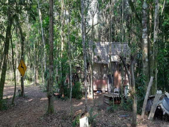 Imagem Terreno à Venda, em Bavaria - Nova Petrópolis Imagem Terreno à Venda, em Bavaria - Nova Petrópolis