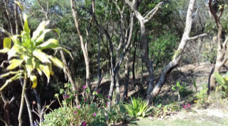 Imagem Chácara com 3 Quartos à Venda, 300 m² em Tanque - Atibaia Imagem Chácara com 3 Quartos à Venda, 300 m² em Tanque - Atibaia