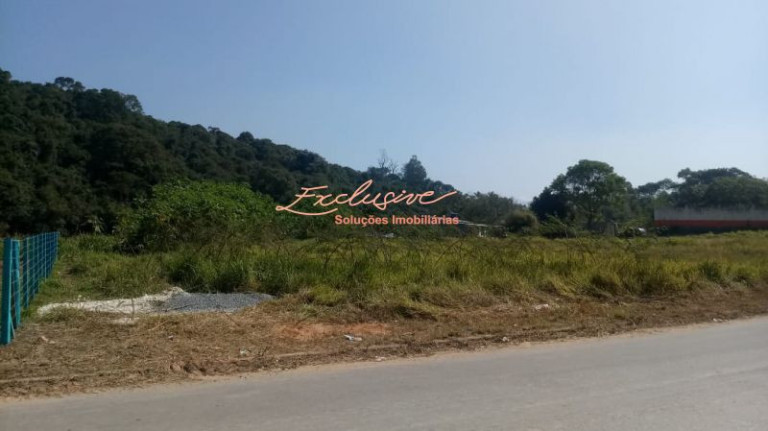 Imagem Chácara à Venda, 4.000 m² em Ipelândia - Suzano Imagem Chácara à Venda, 4.000 m² em Ipelândia - Suzano