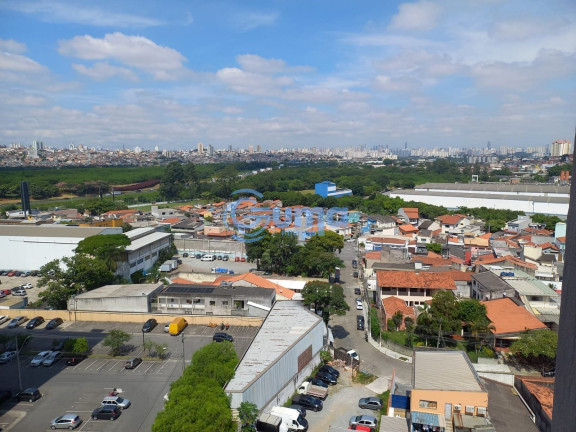 Imagem Apartamento com 2 Quartos à Venda, 44 m² em Ponte Grande - Guarulhos Imagem Apartamento com 2 Quartos à Venda, 44 m² em Ponte Grande - Guarulhos