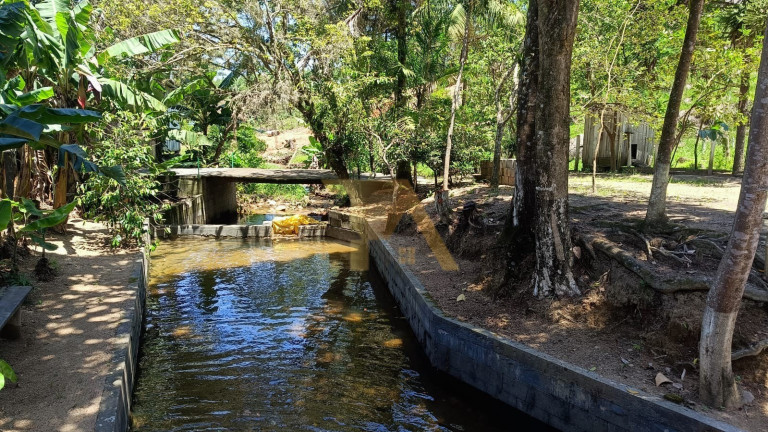 Imagem Fazenda à Venda, 174 m² em Aratingauba - Imaruí Imagem Fazenda à Venda, 174 m² em Aratingauba - Imaruí