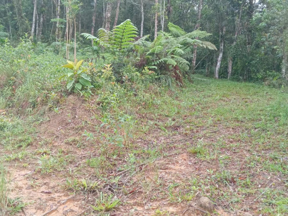 Imagem Imóvel com 2 Quartos à Venda, 22.376 m² em Centro - São Pedro De Alcântara