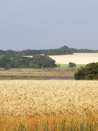 Imagem Fazenda à Venda, 2.178 m² em Rural - Itaí Imagem Fazenda à Venda, 2.178 m² em Rural - Itaí