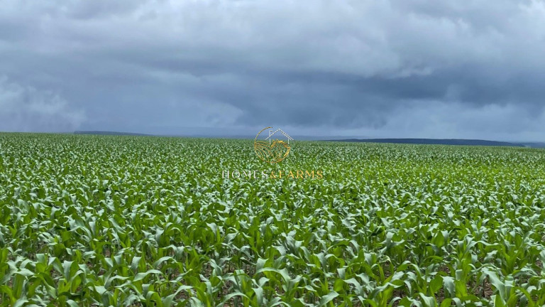 Imagem Imóvel com 3 Quartos à Venda, 7.546 m² em Zona Rural - Nobres Imagem Imóvel com 3 Quartos à Venda, 7.546 m² em Zona Rural - Nobres
