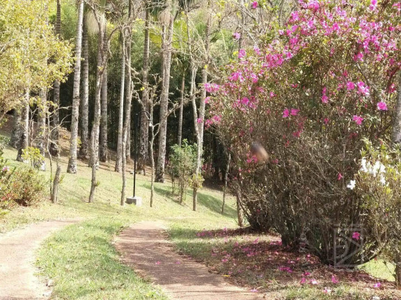 Imagem Chácara com 3 Quartos à Venda, 9 m² em Centro - Sapucaí-mirim Imagem Chácara com 3 Quartos à Venda, 9 m² em Centro - Sapucaí-mirim