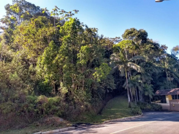 Imagem Terreno à Venda, 2.445 m² em Testo Central - Pomerode Imagem Terreno à Venda, 2.445 m² em Testo Central - Pomerode