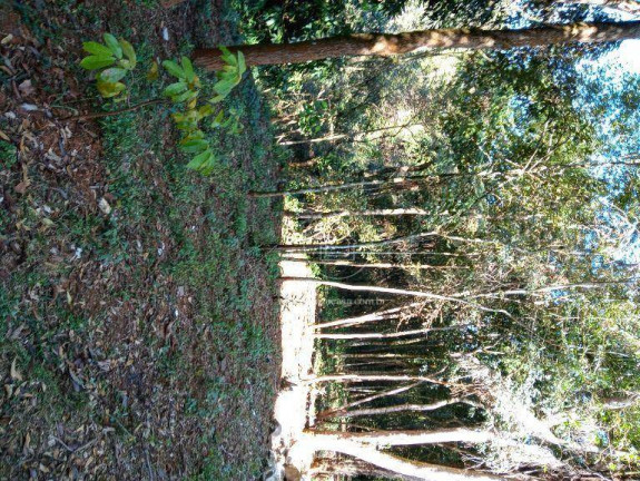 Imagem Chácara com 2 Quartos à Venda, 230 m² em Marques - Brumadinho