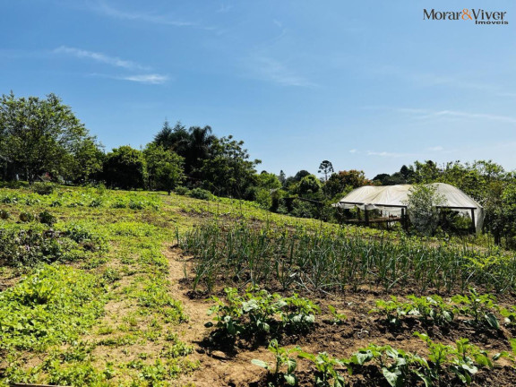 Imagem Chácara à Venda, 6.300 m² em Zona Rural - Tijucas Do Sul Imagem Chácara à Venda, 6.300 m² em Zona Rural - Tijucas Do Sul