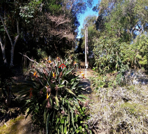 Imagem Imóvel à Venda, 60.000 m² em Depois Do Centro - Ibiúna Imagem Imóvel à Venda, 60.000 m² em Depois Do Centro - Ibiúna