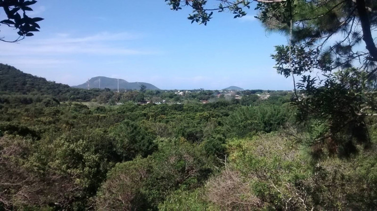 Imagem Chácara à Venda, 4.800 m² em São João Do Rio Vermelho - Florianópolis Imagem Chácara à Venda, 4.800 m² em São João Do Rio Vermelho - Florianópolis