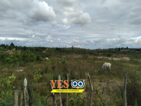 Imagem Imóvel com 2 Quartos à Venda, 100.000 m² em Centro - Cruz Das Almas