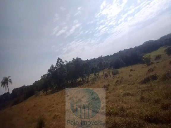 Imagem Imóvel com 4 Quartos à Venda, 540.628 m² em Zona Rural - Biguatinga