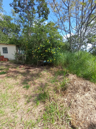 Imagem Imóvel com 4 Quartos à Venda, 19.745 m² em Bonanza - Santa Luzia Imagem Imóvel com 4 Quartos à Venda, 19.745 m² em Bonanza - Santa Luzia
