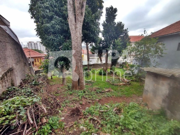 Imagem Terreno à Venda, 110 m² em Vila Maria Alta - São Paulo Imagem Terreno à Venda, 110 m² em Vila Maria Alta - São Paulo