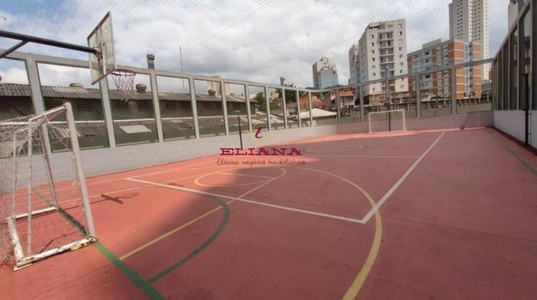 Imagem Apartamento com 3 Quartos à Venda, 65 m² em Aclimação - São Paulo Imagem Apartamento com 3 Quartos à Venda, 65 m² em Aclimação - São Paulo