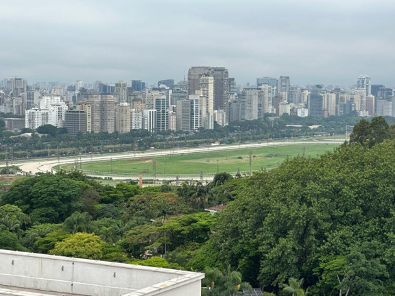 Imagem Imóvel com 3 Quartos à Venda, 266 m² em Butantã - São Paulo Imagem Imóvel com 3 Quartos à Venda, 266 m² em Butantã - São Paulo