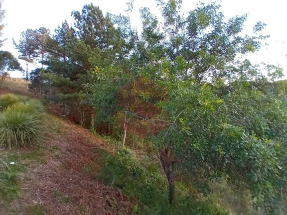 Imagem Chácara com 1 Quarto à Venda, 1 m² em Itambezinho - Campo Largo