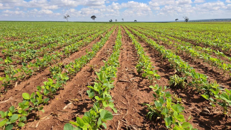 Imagem Imóvel à Venda, em Rural - Bataguassu Imagem Imóvel à Venda, em Rural - Bataguassu