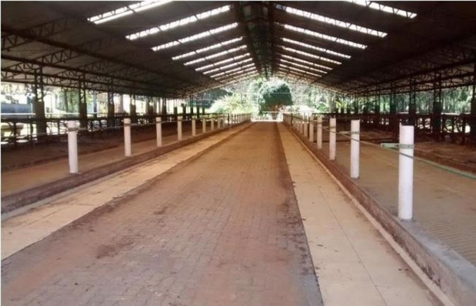 Imagem Fazenda à Venda, 500 m² em Centro - Lagoinha Imagem Fazenda à Venda, 500 m² em Centro - Lagoinha