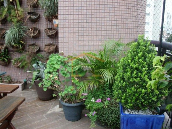 Imagem Cobertura com 4 Quartos à Venda, 230 m² em água Fria - São Paulo